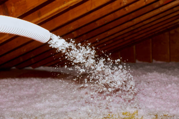 Best Attic Insulation Installation  in Phoenix, IL