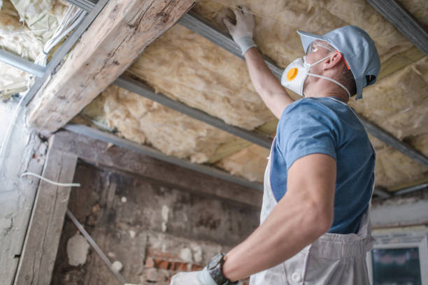 Best Insulation Contractors for Homes  in Phoenix, IL