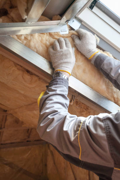 Garage Insulation Installation in Phoenix, IL