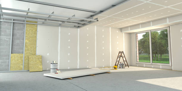 Best Insulation Removal Services  in Phoenix, IL
