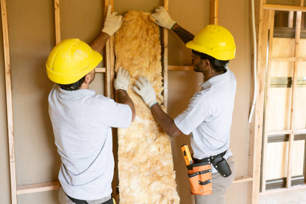 Best Local Insulation Services  in Phoenix, IL