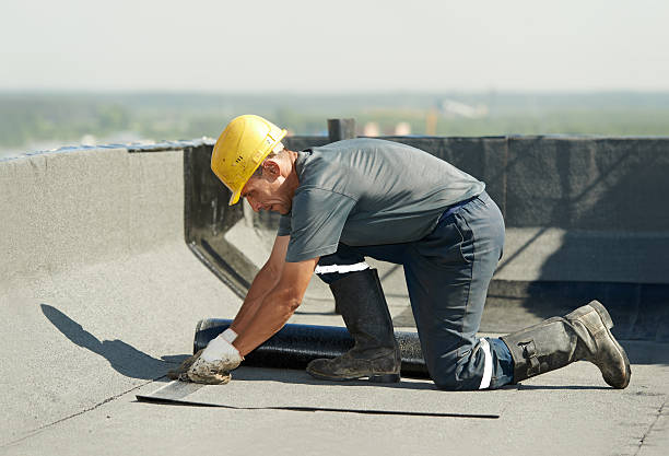 Best Insulation for New Construction  in Phoenix, IL