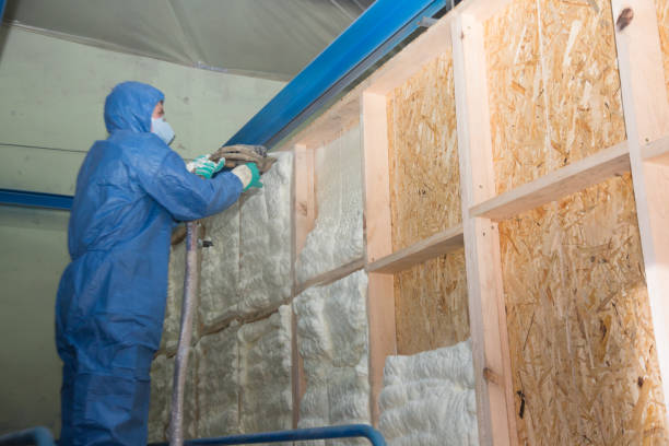 Best Garage Insulation Installation  in Phoenix, IL