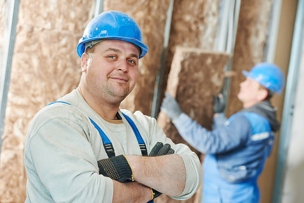 Best Garage Insulation Installation  in Phoenix, IL