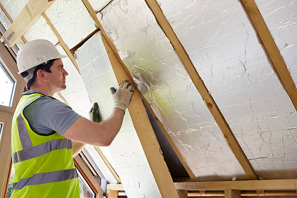 Best Professional Insulation Contractor  in Phoenix, IL